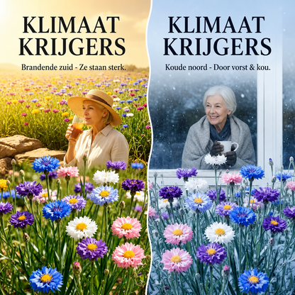 Flowerseeds | Kleurrijke Bloei Van Lente Tot Herfst