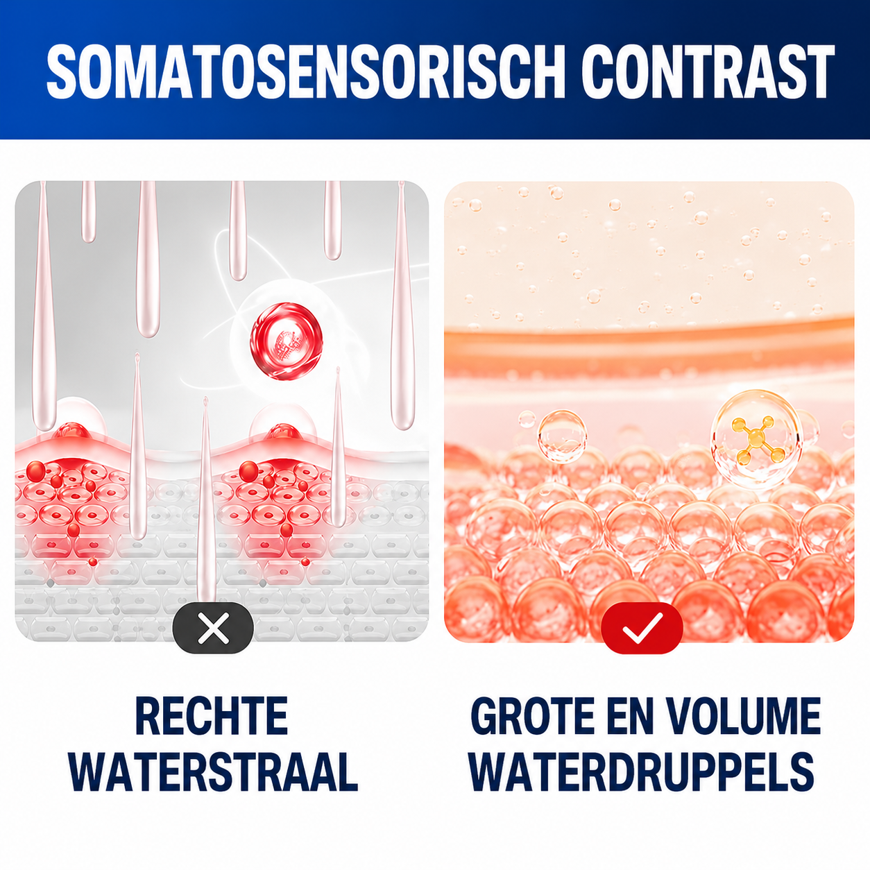 ShowerFlex | Handdouche Met 6 Straalstanden En Krachtige Waterdruk