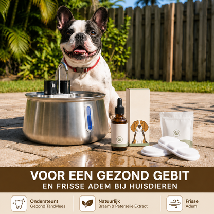 PetFountain | Altijd Fris Drinkwater Voor Je Hond