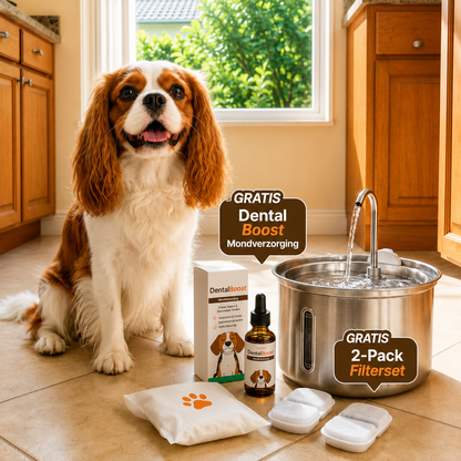PetFountain | Altijd Fris Drinkwater Voor Je Hond