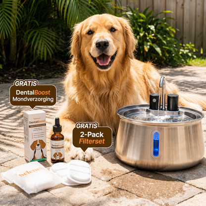 PetFountain | Altijd Fris Drinkwater Voor Je Hond