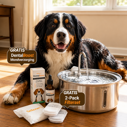 PetFountain | Altijd Fris Drinkwater Voor Je Hond