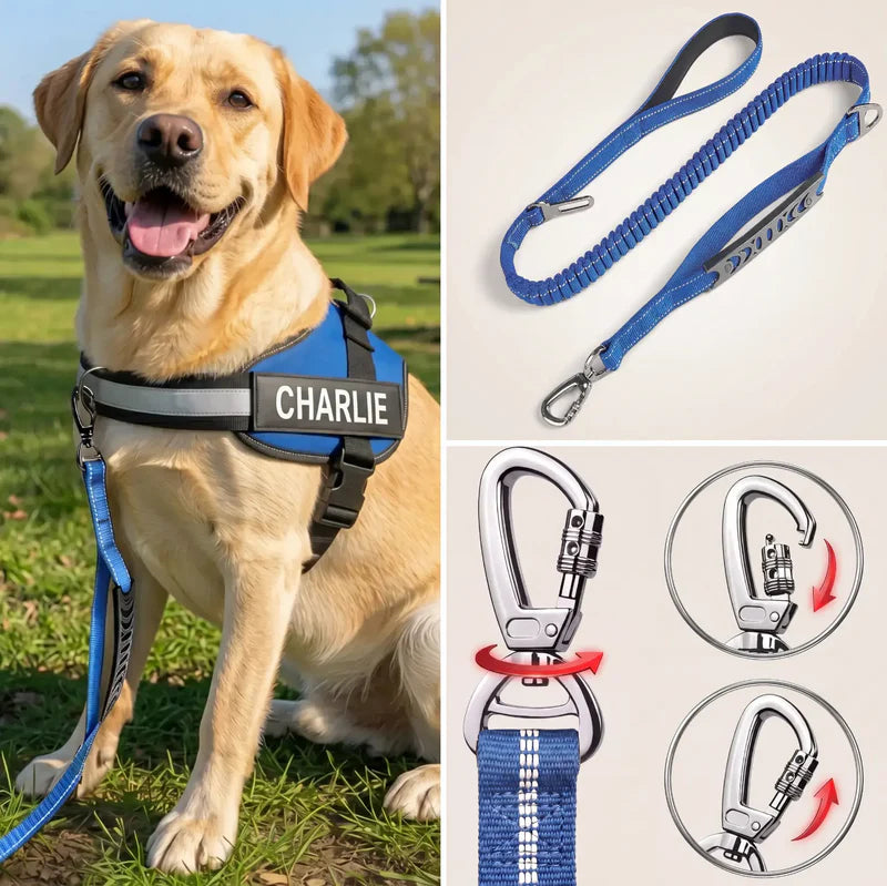 EasyWalk | Moeiteloos En Comfortabel Wandelen Met Je Hond