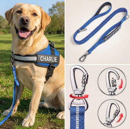 EasyWalk | Moeiteloos En Comfortabel Wandelen Met Je Hond
