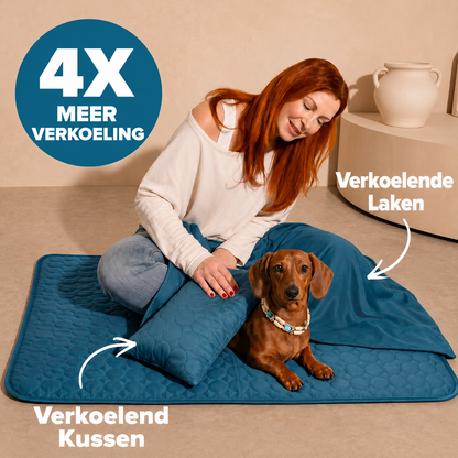 CoolPaw | Houd Je Hond Heerlijk Koel