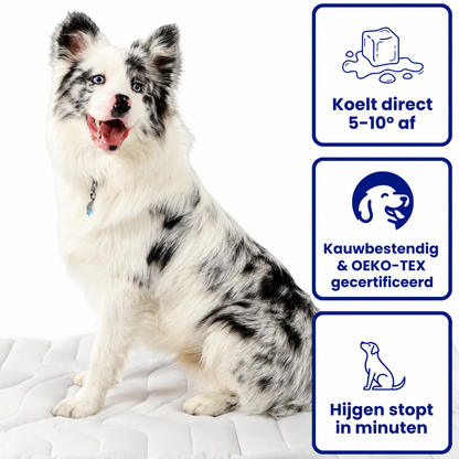 CozzyMat | Comfortabele Verkoeling Voor Je Huisdier