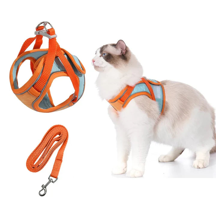 Pawvia | Veilig, Comfortabel & Ontsnappingsproof Wandelen