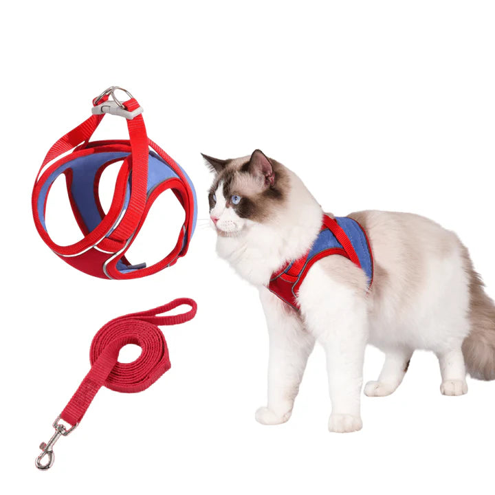Pawvia | Veilig, Comfortabel & Ontsnappingsproof Wandelen
