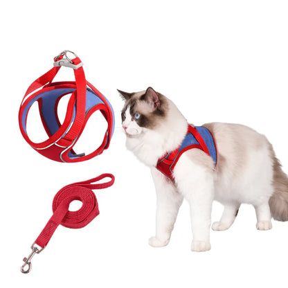 Pawvia | Veilig, Comfortabel & Ontsnappingsproof Wandelen