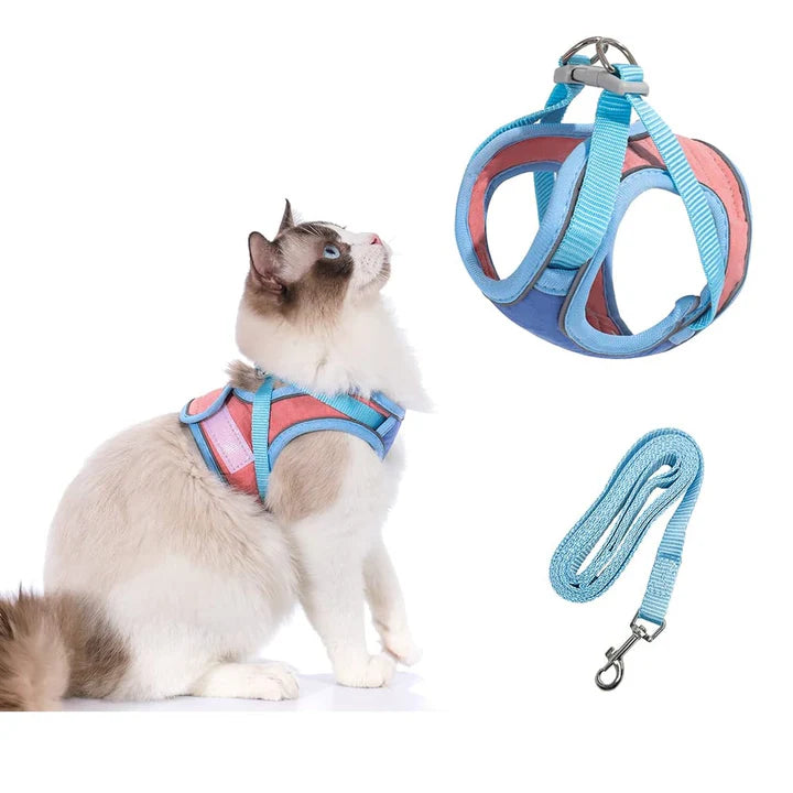Pawvia | Veilig, Comfortabel & Ontsnappingsproof Wandelen
