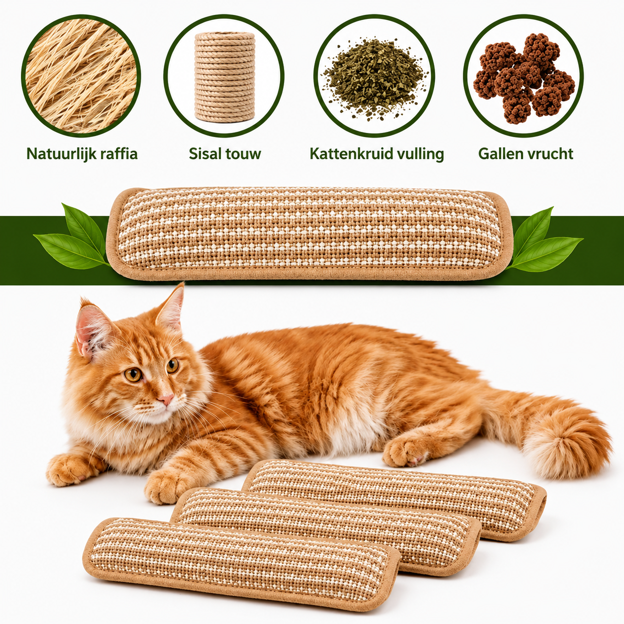 PurrPillow | Houd Je Kat Actief En Ontspannen