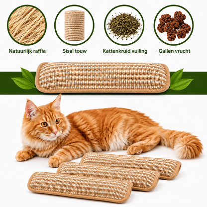 PurrPillow | Houd Je Kat Actief En Ontspannen
