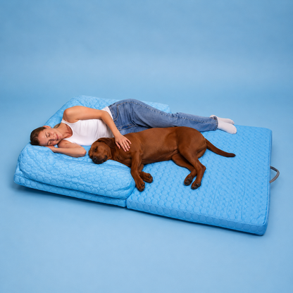 CoolPaw | Houd Je Hond Heerlijk Koel