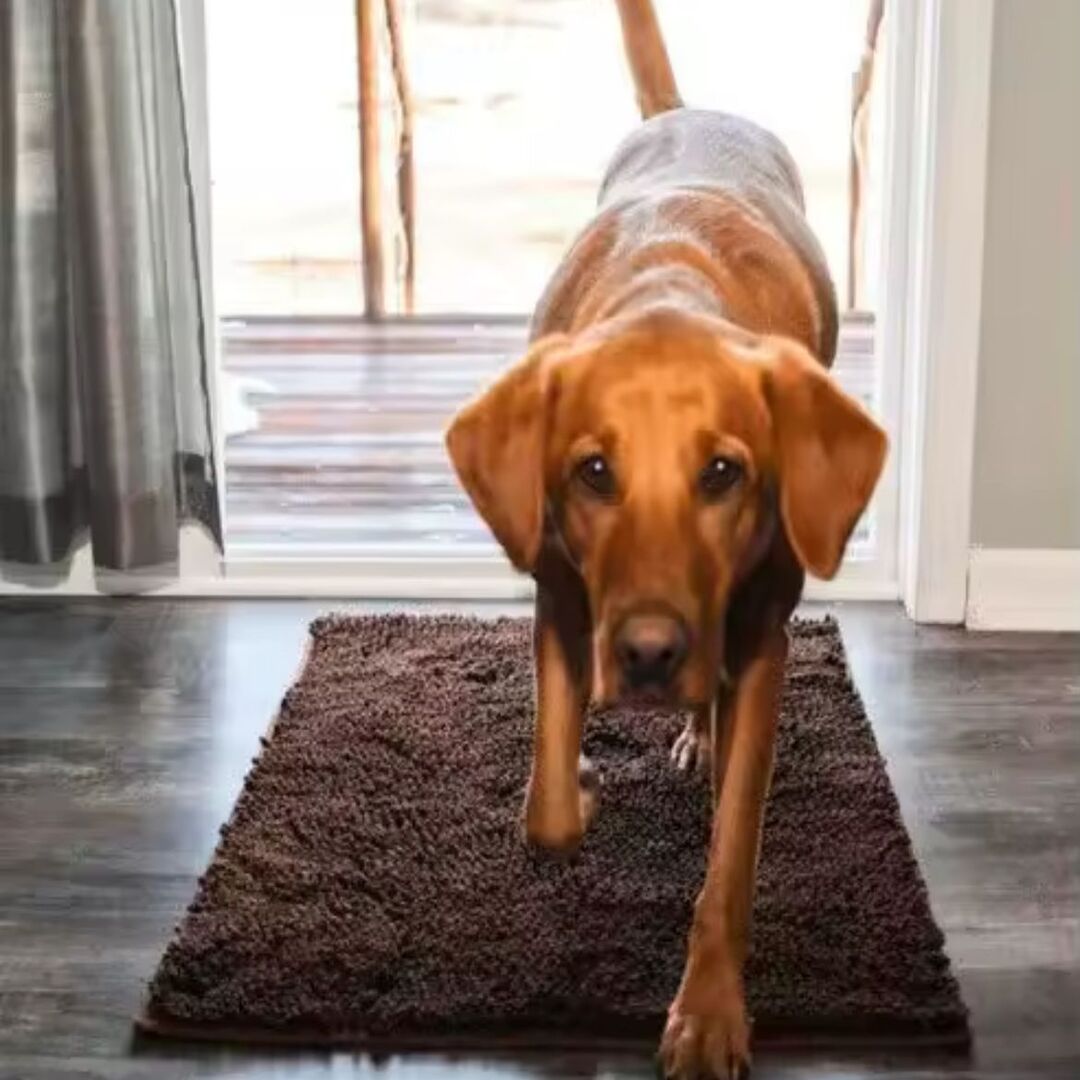 PawClean | Absorberende pootmat die vuil en vocht opvangt