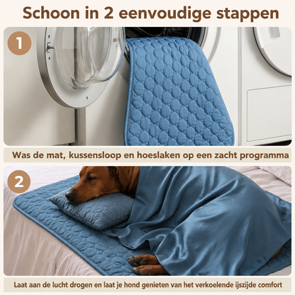 CoolPaw | Houd Je Hond Heerlijk Koel