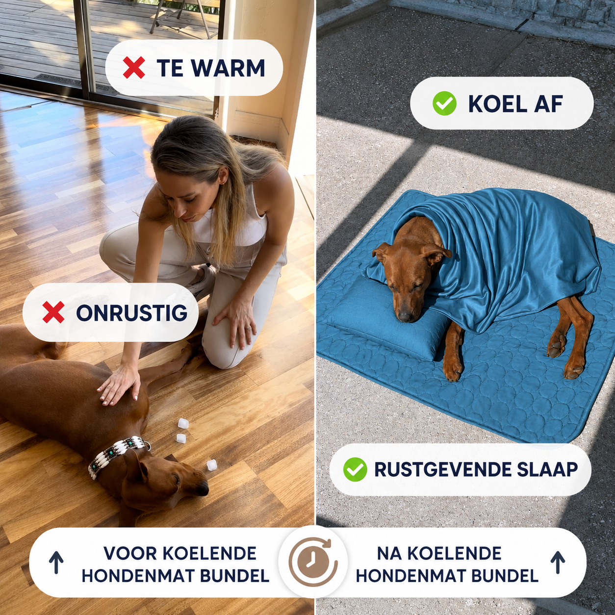 CoolPaw | Houd Je Hond Heerlijk Koel