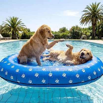 Hondenfloat | Verkoeling En Comfort Op Het Water