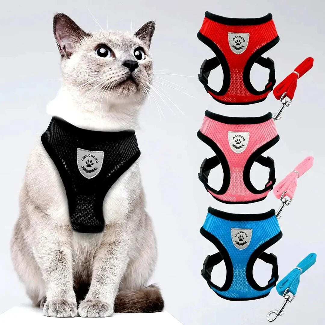 CatExplore | Kattenharnas voor Veilige Wandelingen in Stijl