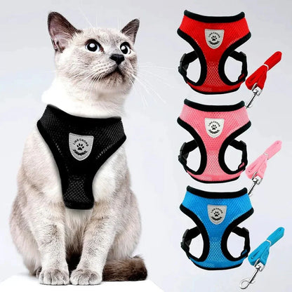 CatExplore | Kattenharnas voor Veilige Wandelingen in Stijl