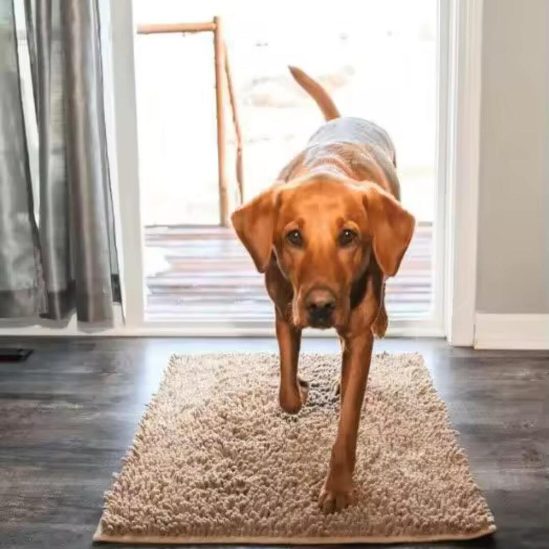 PawClean | Absorberende pootmat die vuil en vocht opvangt