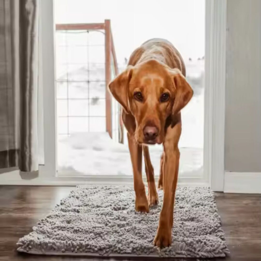 PawClean | Absorberende pootmat die vuil en vocht opvangt