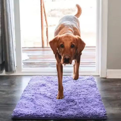 PawClean | Absorberende pootmat die vuil en vocht opvangt