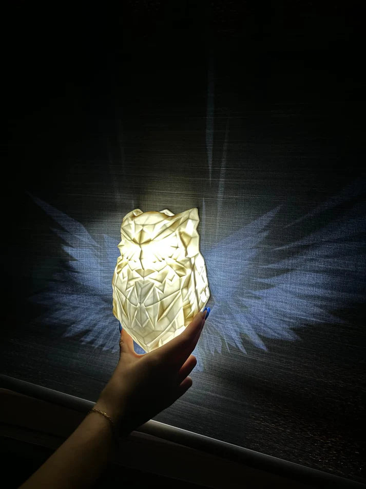 GlowWings | Moderne Luminous Lamp