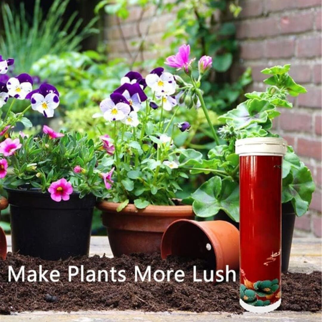 PlantBoost | Langzame Afgifte Bemesting voor Gezonde Planten