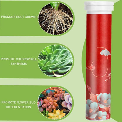PlantBoost | Langzame Afgifte Bemesting voor Gezonde Planten