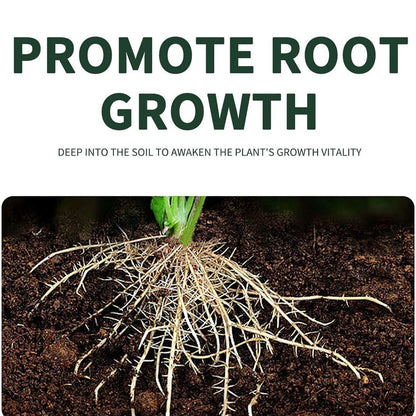 PlantBoost | Langzame Afgifte Bemesting voor Gezonde Planten