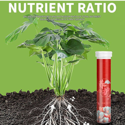 PlantBoost | Langzame Afgifte Bemesting voor Gezonde Planten