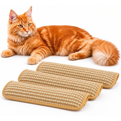 PurrPillow | Houd Je Kat Actief En Ontspannen