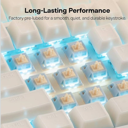 KeyFlow | Magnetische Hall Effect Toetsenschakelaars